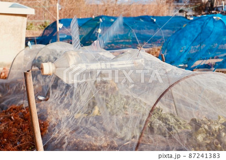 鳥対策の手作りペットボトル風車 鳥対策の手作りペットボトル風車 87241383