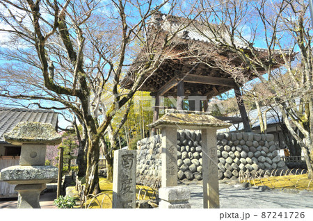 大河ドラマで話題の北条家ゆかりの地、修善寺 大河ドラマで話題の北条家ゆかりの地、修善寺 87241726