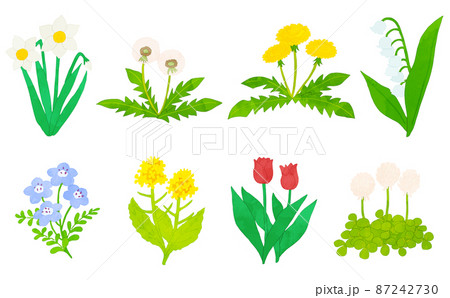 春の花　イラストセット　水彩風 87242730