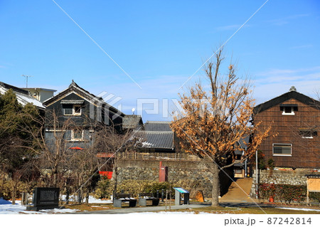 冬の岐阜公園散策・122（岐阜県岐阜市岐阜公園近隣） 87242814