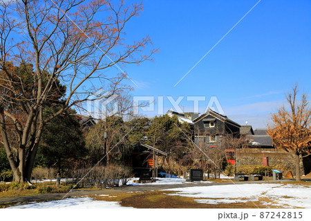 冬の岐阜公園散策・123(岐阜県岐阜市岐阜公園近隣) 冬の岐阜公園散策・123(岐阜県岐阜市岐阜公園近隣) 87242815