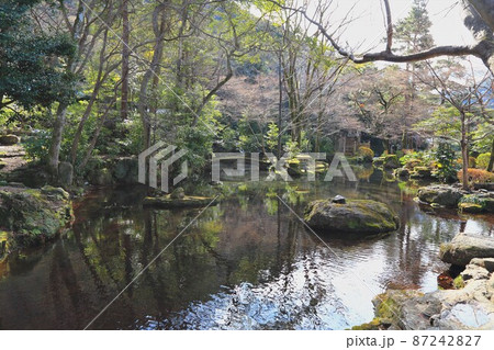 冬の岐阜公園散策・133(岐阜県岐阜市岐阜公園近隣) 冬の岐阜公園散策・133(岐阜県岐阜市岐阜公園近隣) 87242827