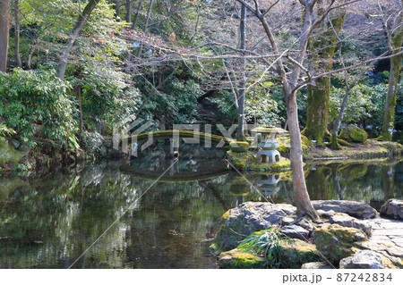 冬の岐阜公園散策・137(岐阜県岐阜市岐阜公園近隣) 冬の岐阜公園散策・137(岐阜県岐阜市岐阜公園近隣) 87242834