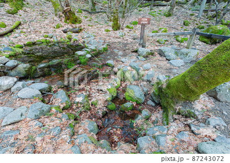 Daytime view of the spring of Yosemite National Park 87243072