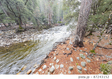 Daytime view of the merced river landscape of Yosemite National Park Daytime view of the merced river landscape of Yosemite National Park 87243152