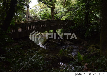 末吉公園の滝見橋 87243183