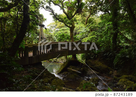 末吉公園の滝見橋 87243189