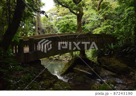 末吉公園の滝見橋 末吉公園の滝見橋 87243190