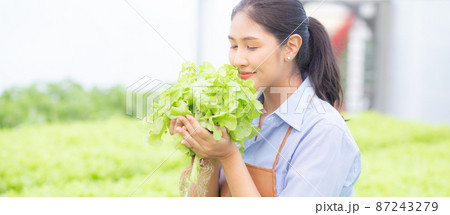 Young asian woman working in hydroponic system vegetables organic lettuce farm. Young asian woman working in hydroponic system vegetables organic lettuce farm. 87243279