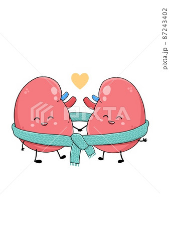 World kidney day, kidneys in knitted scarf 87243402