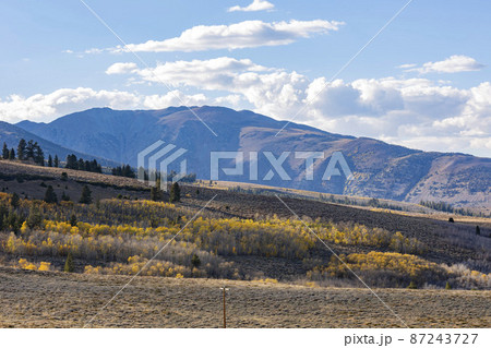 Sunny view of the fall color around Conway Summit 87243727