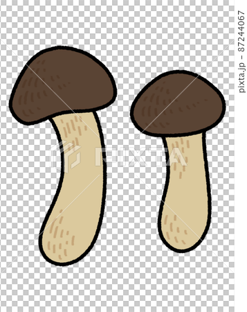 松茸 87244067
