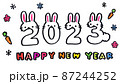 手書きうさぎ年のイラスト　2023　png 87244252