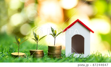 Investor of real estate.  The plants growing on money coin stack for investment home.  87244647