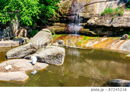 Beautiful waterfall in Sofiyivka park in Uman, Ukraine 87245216