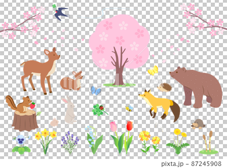 春の森にいる動物たちと植物のイラストセット 春の森にいる動物たちと植物のイラストセット 87245908