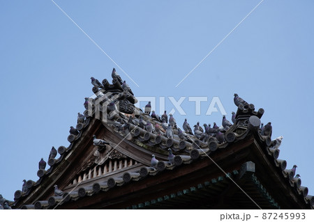 台湾 台北 台北市 87245993