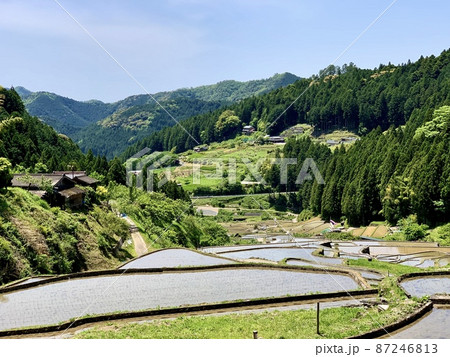 五月晴れの青空と山林の新緑に映える田植え直後の棚田［四谷千枚田/愛知県新城市］ 87246813