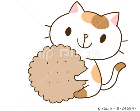 ネコとクッキー ネコとクッキー 87246947
