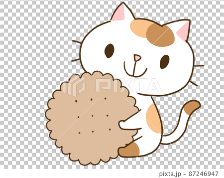 貓和餅乾 87246947