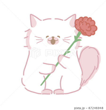 ふわふわ毛の長いねこさん　母の日　カーネーション持ち　笑顔 87246948