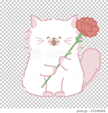 ふわふわ毛の長いねこさん　母の日　カーネーション持ち　笑顔 87246948