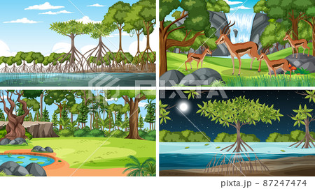 Four scenes with antelope in the forest 87247474