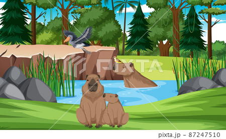 Wombats and birds by the pond 87247510