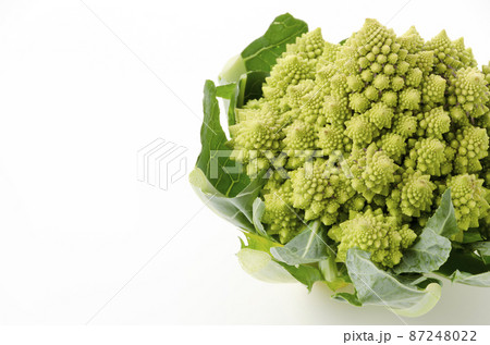 ロマネスコ ロマネスコ 87248022