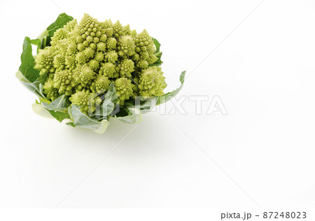 ロマネスコ ロマネスコ 87248023