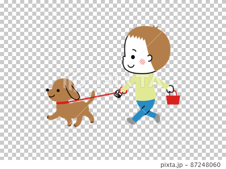 犬の散歩をしている男の子 87248060