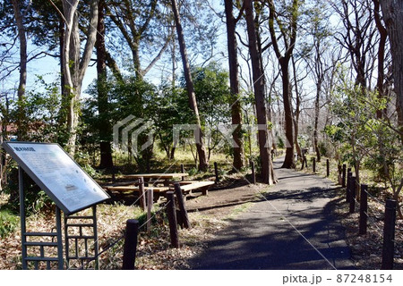 横浜市　天王森泉公園　くわくわ森散策路と案内板 87248154