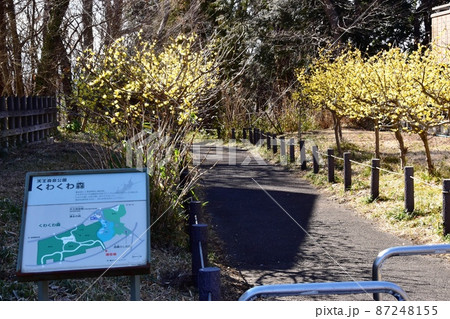 横浜市　天王森泉公園　くわくわ森入口のロウバイと散策路案内板 87248155