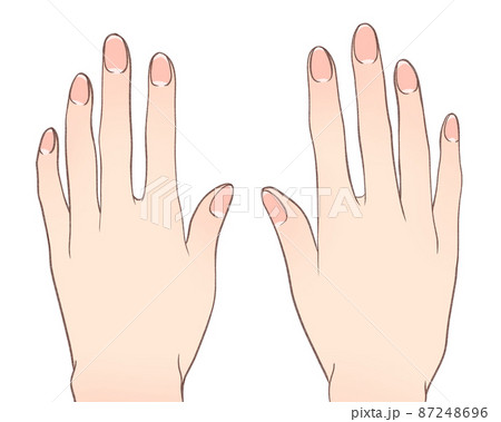 通常の手 87248696