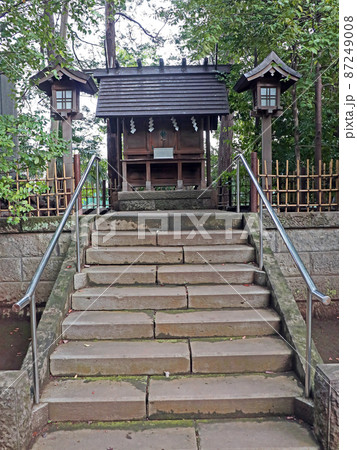 世田谷八幡宮(世田谷) 世田谷八幡宮(世田谷) 87249008