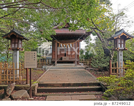 世田谷八幡宮（世田谷） 87249012