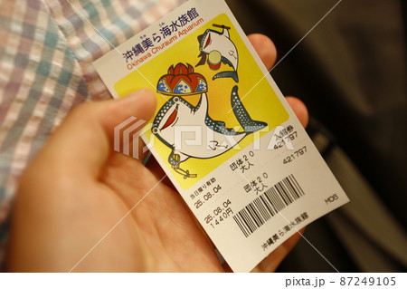 沖縄県 那覇 那覇市 87249105
