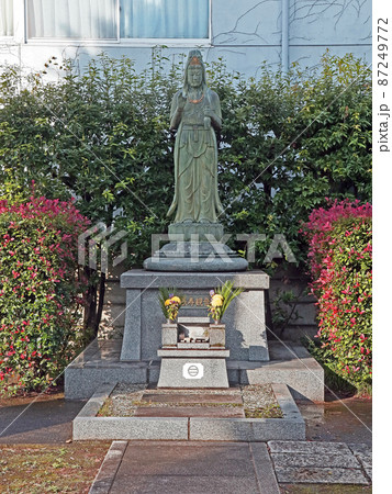 龍源寺(三鷹) 龍源寺(三鷹) 87249772