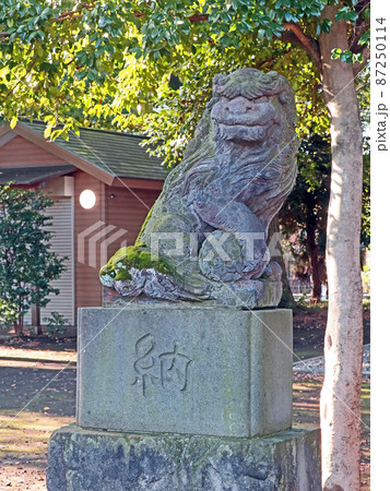 琥珀神社（調布） 87250114