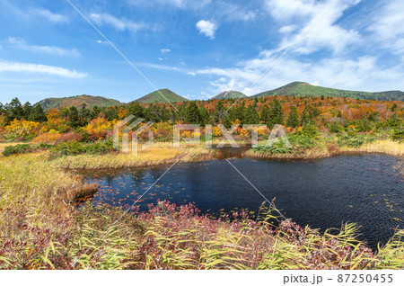 【青森県八甲田山】紅葉に映える睡蓮沼と北八甲田連峰。八甲田は日本有数の紅葉スポットと言われる。 【青森県八甲田山】紅葉に映える睡蓮沼と北八甲田連峰。八甲田は日本有数の紅葉スポットと言われる。 87250455