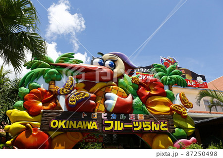 沖縄県 那覇 那覇市 87250498