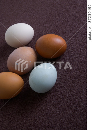 卵いろいろ 87250499
