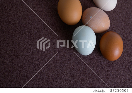 卵いろいろ 87250505