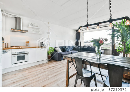 Modern Open Space, Kitchen and Living Room 87250572