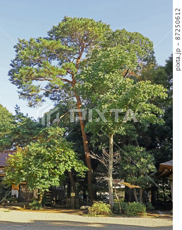 祇園寺（調布） 87250612
