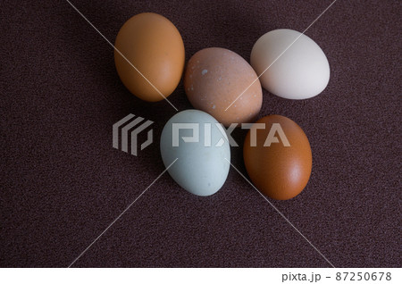 卵いろいろ 87250678