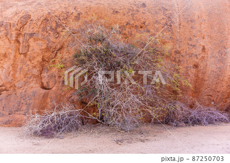The Spitzkoppe area around sunset 87250703