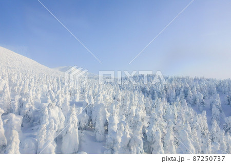 樹氷 霧氷 蔵王 樹氷 霧氷 蔵王 87250737