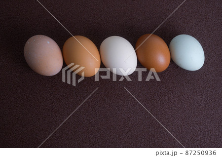 卵いろいろ 卵いろいろ 87250936