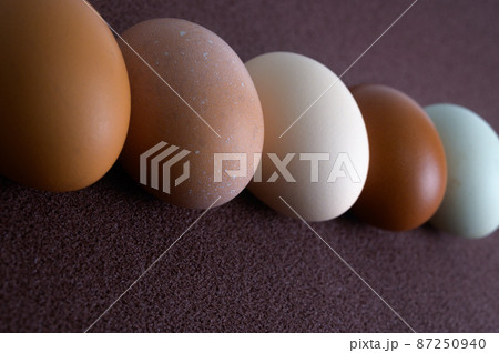 卵いろいろ 87250940